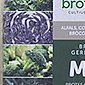 Alerta por presencia de Salmonella en brotes germinados procedentes de España, con materia prima de Italia