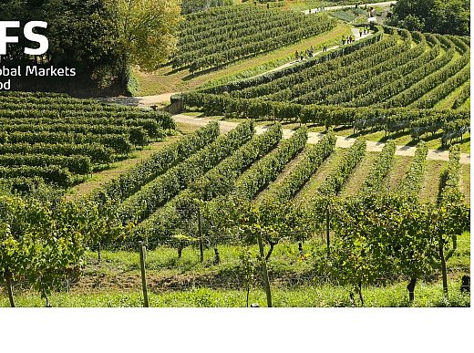 Caso de éxito: certificación del programa IFS Global Markets-Food