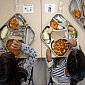 Seguridad alimentaria en la vuelta al cole: del comedor al tupper sin olvidarnos del almuerzo
